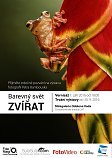 Petr Bambousek-Barevný svět zvířat