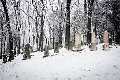 Vodolská zima