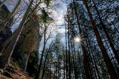 Kokořínsko-Střezivojice