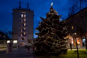 Vánoční strom na Vodolce