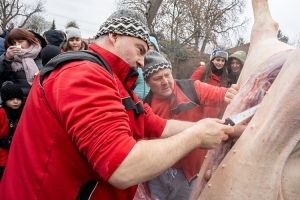 Masopust v Máslovicích