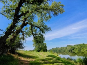VOKO 55-Vltava jinak